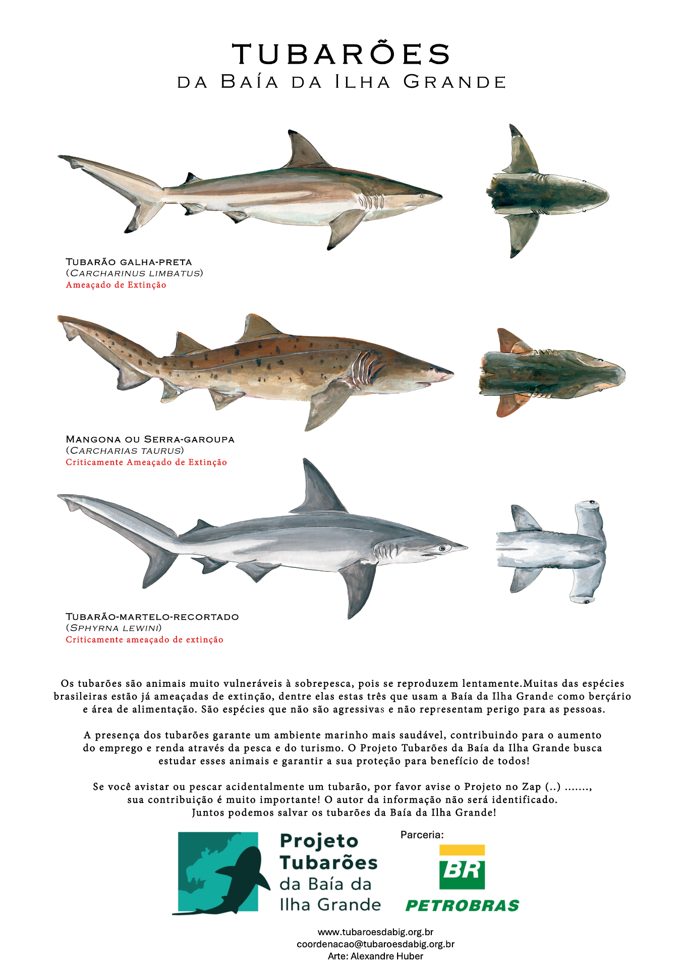 Arte: Alexandre Huber